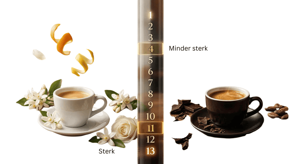 Intensiteit koffie capsules van 1 tot 13: complete gids om de juiste te kiezen