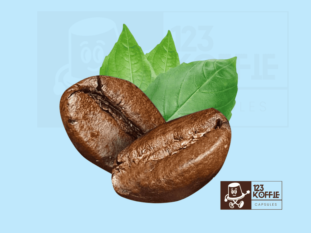 Alle Koffiebonen